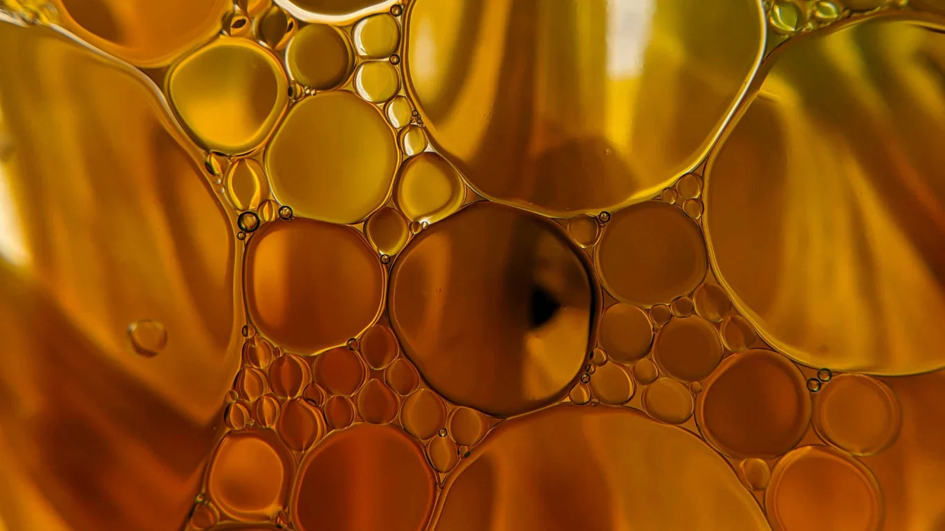 Top 10 Ways Holistq Black Seed Oil Supports Immunity and Wellness